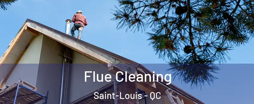  Flue Cleaning Saint-Louis - QC