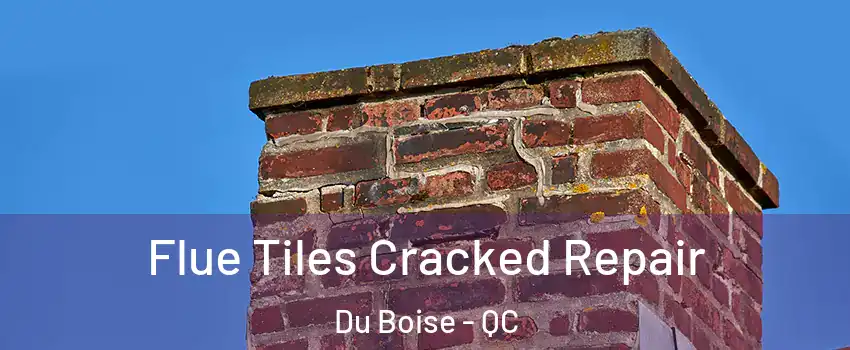  Flue Tiles Cracked Repair Du Boise - QC