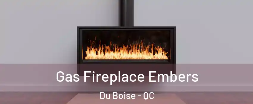 Gas Fireplace Embers Du Boise - QC