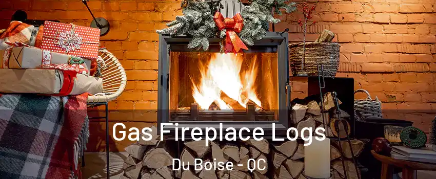  Gas Fireplace Logs Du Boise - QC