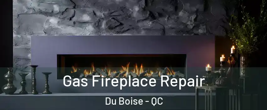  Gas Fireplace Repair Du Boise - QC