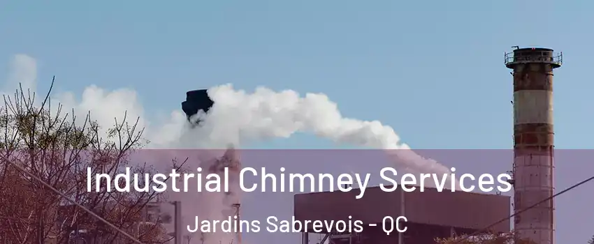  Industrial Chimney Services Jardins Sabrevois - QC