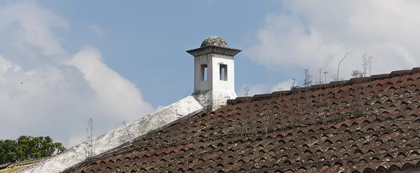 Wind-Resistant Chimney Caps Installation and Repair Services in Boucherville, Quebec