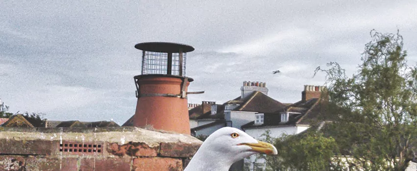 Chimney Cap Bird Guard Repair in Boucherville, Quebec
