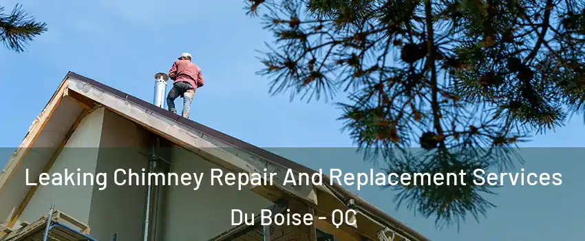  Leaking Chimney Repair And Replacement Services Du Boise - QC