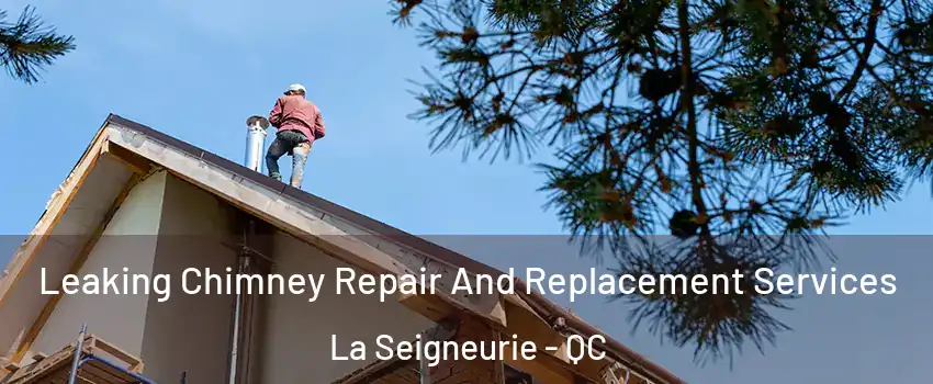  Leaking Chimney Repair And Replacement Services La Seigneurie - QC