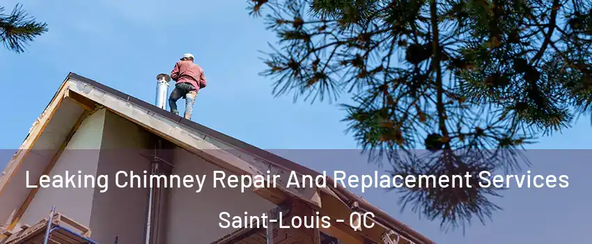  Leaking Chimney Repair And Replacement Services Saint-Louis - QC