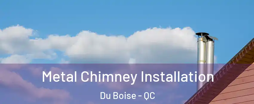  Metal Chimney Installation Du Boise - QC