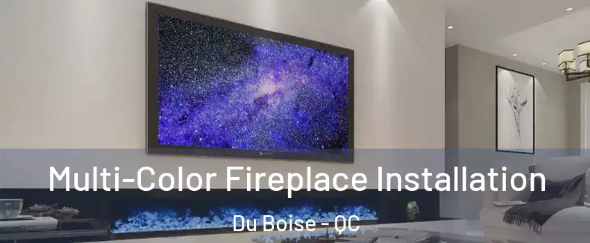  Multi-Color Fireplace Installation Du Boise - QC