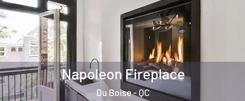  Napoleon Fireplace Du Boise - QC