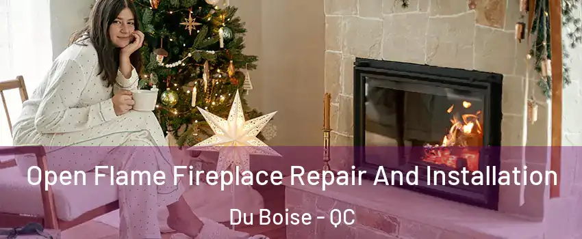  Open Flame Fireplace Repair And Installation Du Boise - QC