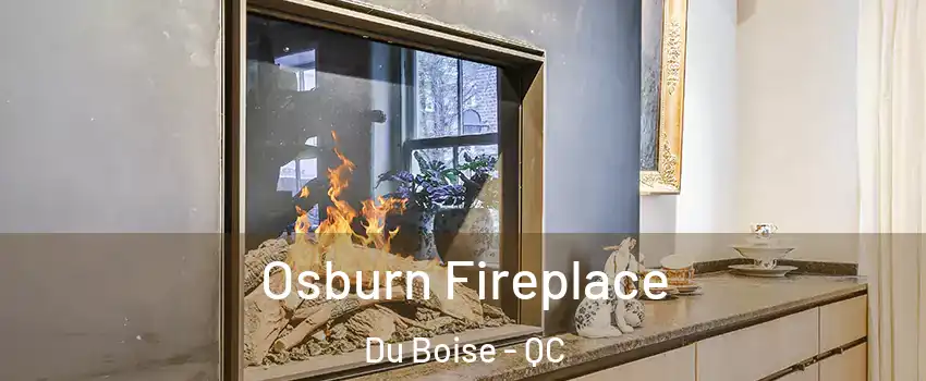  Osburn Fireplace Du Boise - QC
