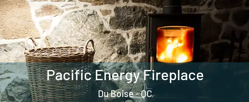  Pacific Energy Fireplace Du Boise - QC