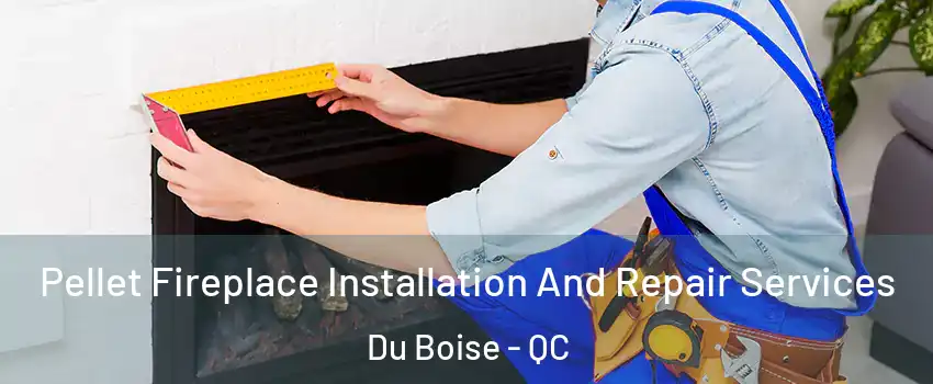  Pellet Fireplace Installation And Repair Services Du Boise - QC