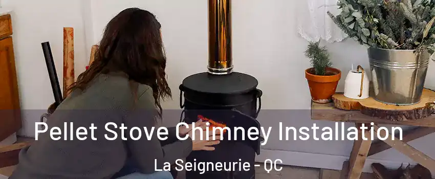  Pellet Stove Chimney Installation La Seigneurie - QC