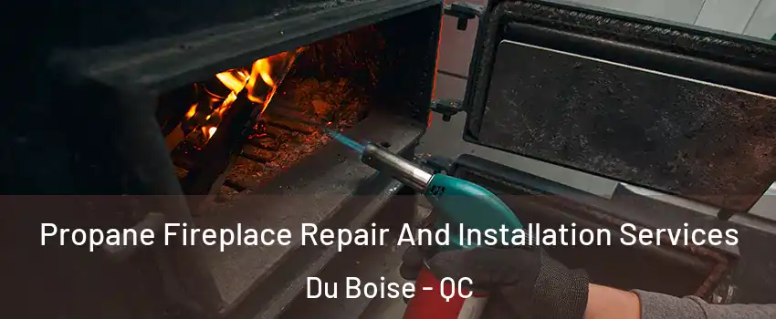 Propane Fireplace Repair And Installation Services Du Boise - QC