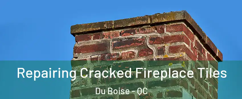 Repairing Cracked Fireplace Tiles Du Boise - QC