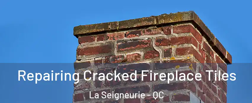  Repairing Cracked Fireplace Tiles La Seigneurie - QC