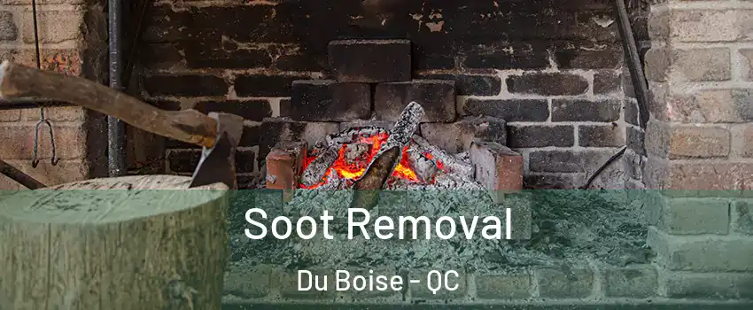  Soot Removal Du Boise - QC