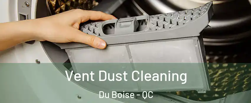  Vent Dust Cleaning Du Boise - QC