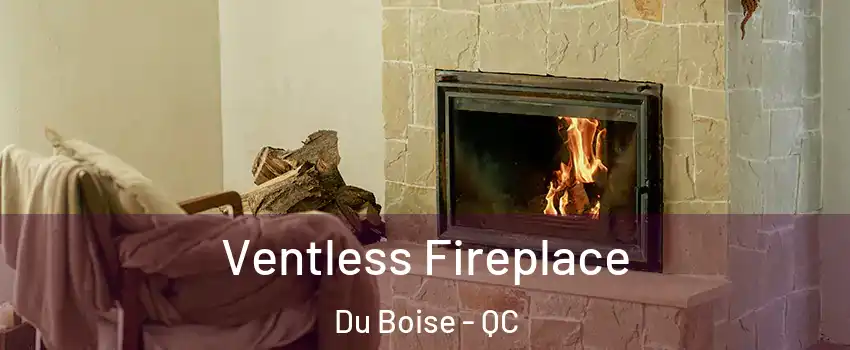  Ventless Fireplace Du Boise - QC
