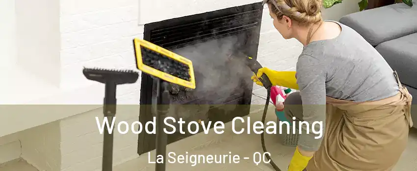  Wood Stove Cleaning La Seigneurie - QC